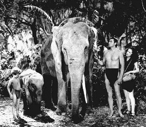 Johnny Sheffield, Weissmuller and Maureen O’Sullivan (Tarzan Finds a Son)