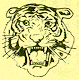 The Denver Tiger